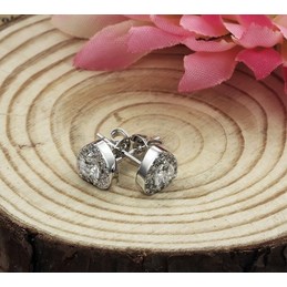 to Enjoy High Reputation at Home and Abroad Female Platinum Plating Titanium Earrings With Diamond