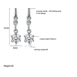 Excellent Quality Female Platinum Plating Titanium Earrings 