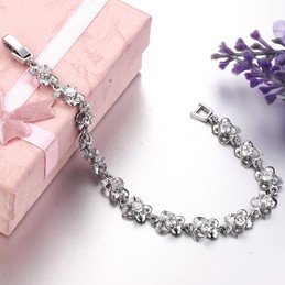 Wide Varieties Female Platinum Plating Titanium Bracelet 