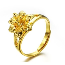 Wide Varieties Female Classic 18K Gold-Plated Ring 