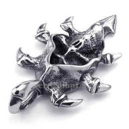 Stunning Titanium Skull Pendant Necklace (Free Chain)
