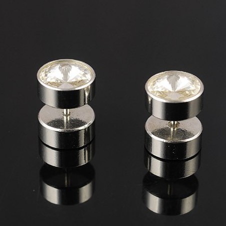 Mens Titanium earrings