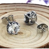 The Queen of Quality Unisex Titanium Earrings With Rhinestone