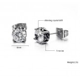 The Queen of Quality Unisex Titanium Earrings With Rhinestone