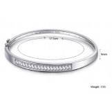 Reliable Quality Female Allergy Free Platinum Plating Titanium Bangle With Diamond