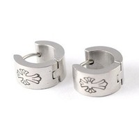 Titanium Earrings